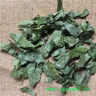 淫羊藿 心叶淫羊藿选货 淫洋藿 产地 甘肃省 买好药找图3