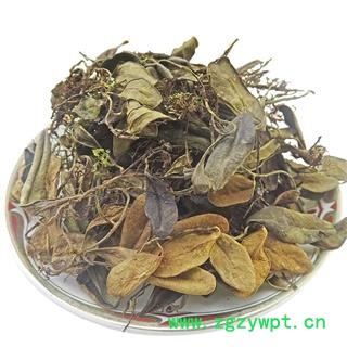 瑞森药材行抱石莲 镜面草抱树莲鱼鳖金星草 石瓜子 地连钱 金龟藤图2