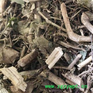 老虎刺 绣花针、伏牛花、虎刺、老虎刺 、老鼠刺  虎刺统货 产地 广西壮族自治区图4