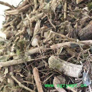 老虎刺 绣花针、伏牛花、虎刺、老虎刺 、老鼠刺  虎刺统货 产地 广西壮族自治区图3