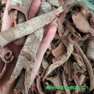 新辉药业冷背中药材紫荆皮 肉红  内消 紫荆木皮图2