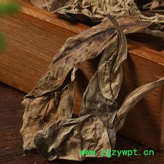 龙脷叶  中药材 龙利叶 龙舌草 牛耳叶图4