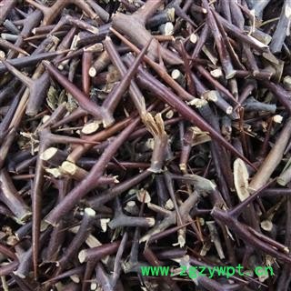 皂角刺 统货 产地 河南省图3