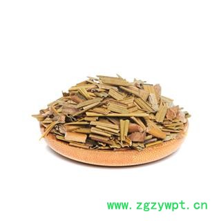 铁树叶选货 产地四川药典标准 地道良药馆1000克直销图4