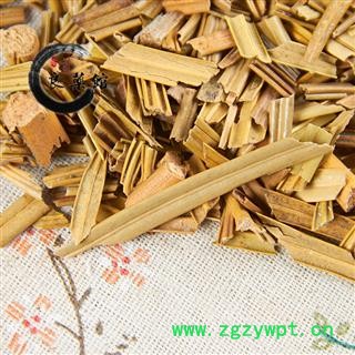 铁树叶选货 产地四川药典标准 地道良药馆1000克直销图3