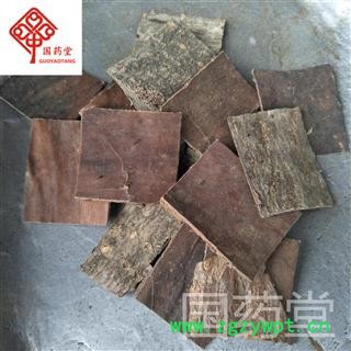 杜仲 选 国药堂 专注品质 产地 四川省图2