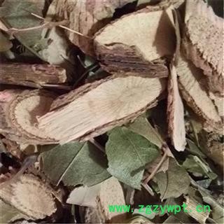 芝春堂 七叶莲 正品无硫 七叶藤 龙爪叶 龙爪树 大七叶莲 多蕊木图2