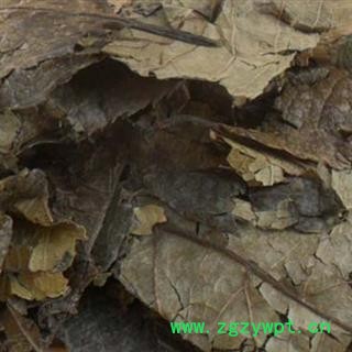 圣草康园中药材杜仲叶 实物图片 新货图2