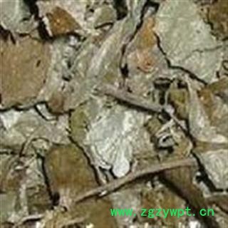 圣草康园中药材胡颓子叶 胡秃子叶图2