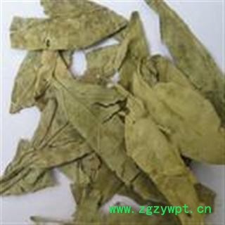 吉康药业中药材 桔叶 橘子叶 橘叶 桔子图2