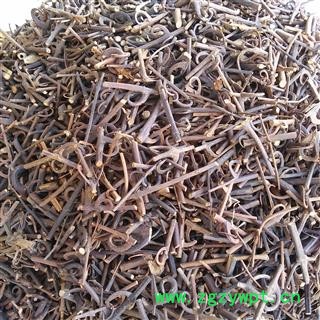 钩藤 含钩藤20% 产地 四川省 买好药材找娟子图3