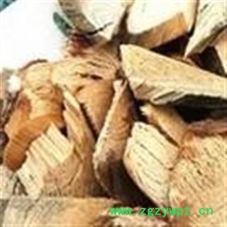 中药材 马尾松根  松树、枞树、青松图2