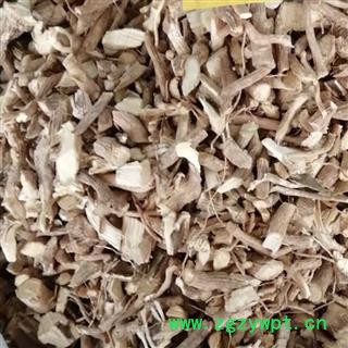 黄花倒水莲根 阴枝 正品 黄花大远志 观音串 黄花远志 吊黄 倒吊黄花产地 广西壮族自治区 买好药找娟子图3