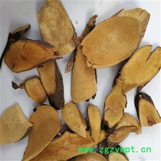 铁包金 中药材   勾儿茶 常青藤 老鼠草 乌金藤 老鼠耳图4