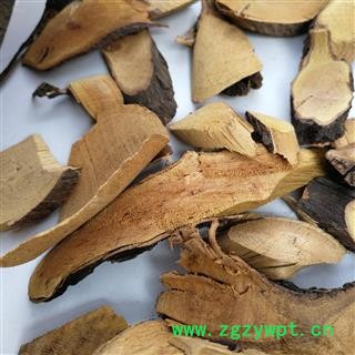 铁包金 中药材   勾儿茶 常青藤 老鼠草 乌金藤 老鼠耳图3