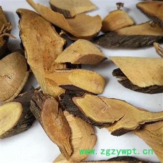 铁包金 中药材   勾儿茶 常青藤 老鼠草 乌金藤 老鼠耳图2