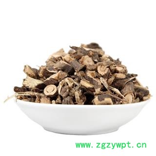 中药材 土黄芪 金雀根 金雀花 锦鸡儿图4