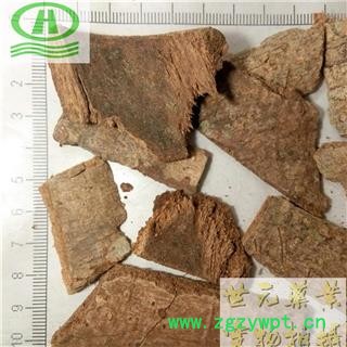 世元药业 鸭脚木皮 正品 别称- 西加皮 鸭脚皮 鹅掌柴皮图2