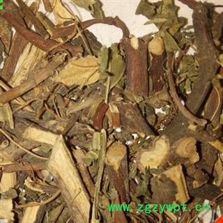 小丽百草行地果藤 地石榴 地瓜藤 地枇杷 地瓜藤 地板藤图2