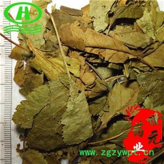 世元药业 山楂叶 正品 优质 山楂树叶图2