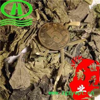 世元药业 芙蓉叶 正品 别称 地芙蓉 山芙蓉 胡李花 三变花 木棉图2