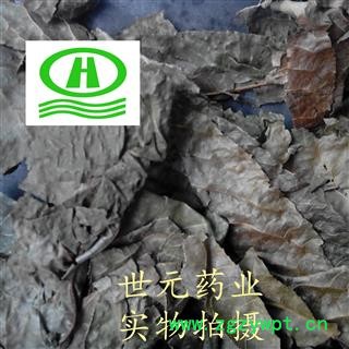 世元药业 青钱柳叶 正品纯叶 青钱柳叶 新货 烘干图2