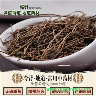 松针 统货 产地 山东省图2