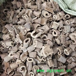 南五加皮 选片 产地 湖北省图2