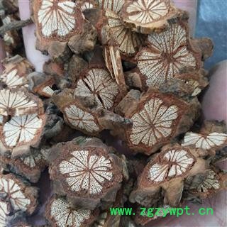 大血藤 红藤 大血藤小选片1.0 产地 湖北省图4