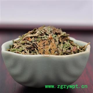 侧柏叶 统货 产地 山东省图4