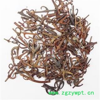 钩藤 钩藤精选段90% 产地 江西省图2