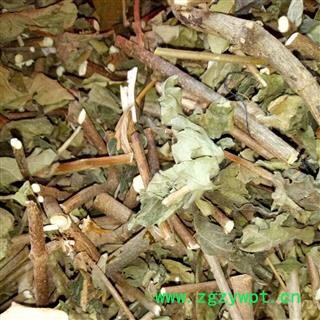 广西壮乡中草药 野生 玉叶金花 白纸扇 产地 广西柳州图2