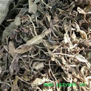 大青叶 大青叶统段 产地 山东省图2