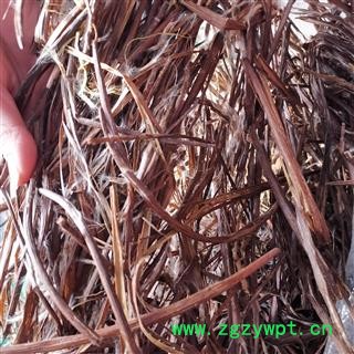 瑞森药材行鼠梓子 梓实 产地湖南图3