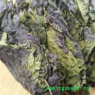 紫苏叶 苏叶  苏梗 紫苏叶全叶选货 产地 江苏省图2