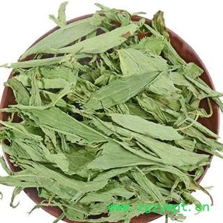 瑞森药材行甜叶菊 甜叶菊菊叶茶用烘干 新货颜色无杆绿干净无杂图2