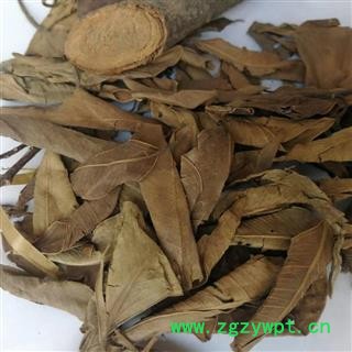 瑞森药材行榕树叶 落地金钱 榕树叶 小榕叶  榕树叶图4