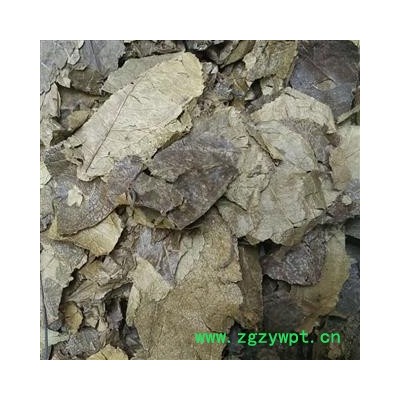 瑞森药材行 杜仲叶