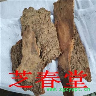 芝春堂 中药材 樟树皮 樟树树皮 香樟木树皮 樟皮 樟木皮图4