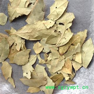 香叶 国产大香叶 统 产地 广西壮族自治区图2