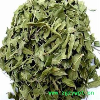 罗布麻叶 大罗布麻叶 选货 茶用 产地 新疆图2