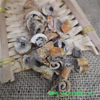 老桑树根皮 桑白皮 桑根皮 中药材图2