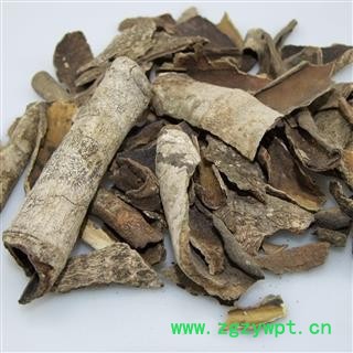 救必应 精品救必应统货 产地 广西壮族自治区图2