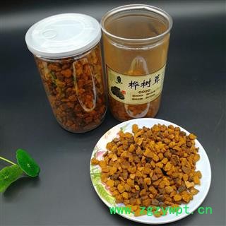 桦树茸 白桦茸 桦树泪 桦树茸颗粒图3