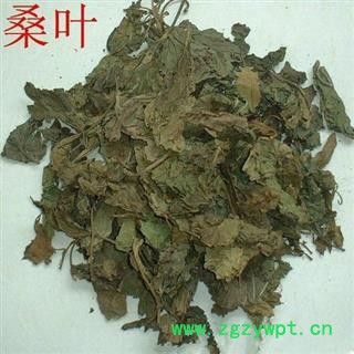 霜桑叶 青桑叶选货 产地 天津市 凯捷中药图2