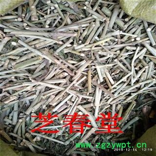 芝春堂 黎王草 忧遁草 柔刺草 青箭 沙巴蛇草 竹节王 产地直销图4
