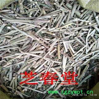 芝春堂 黎王草 忧遁草 柔刺草 青箭 沙巴蛇草 竹节王 产地直销图2