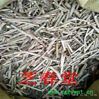 芝春堂 黎王草 忧遁草 柔刺草 青箭 沙巴蛇草 竹节王 产地直销图3