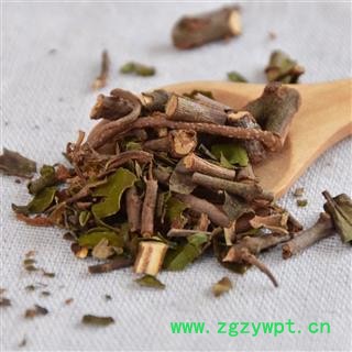 瑞森药材行广寄生 桑寄生枝细叶绿今年新货图4