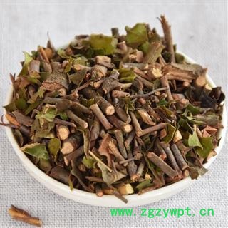 瑞森药材行广寄生 桑寄生枝细叶绿今年新货图2